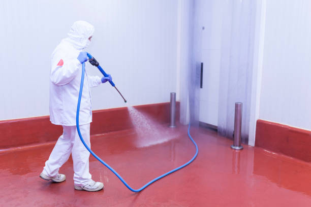 Best Graffiti Removal Services in Cane Savannah, SC